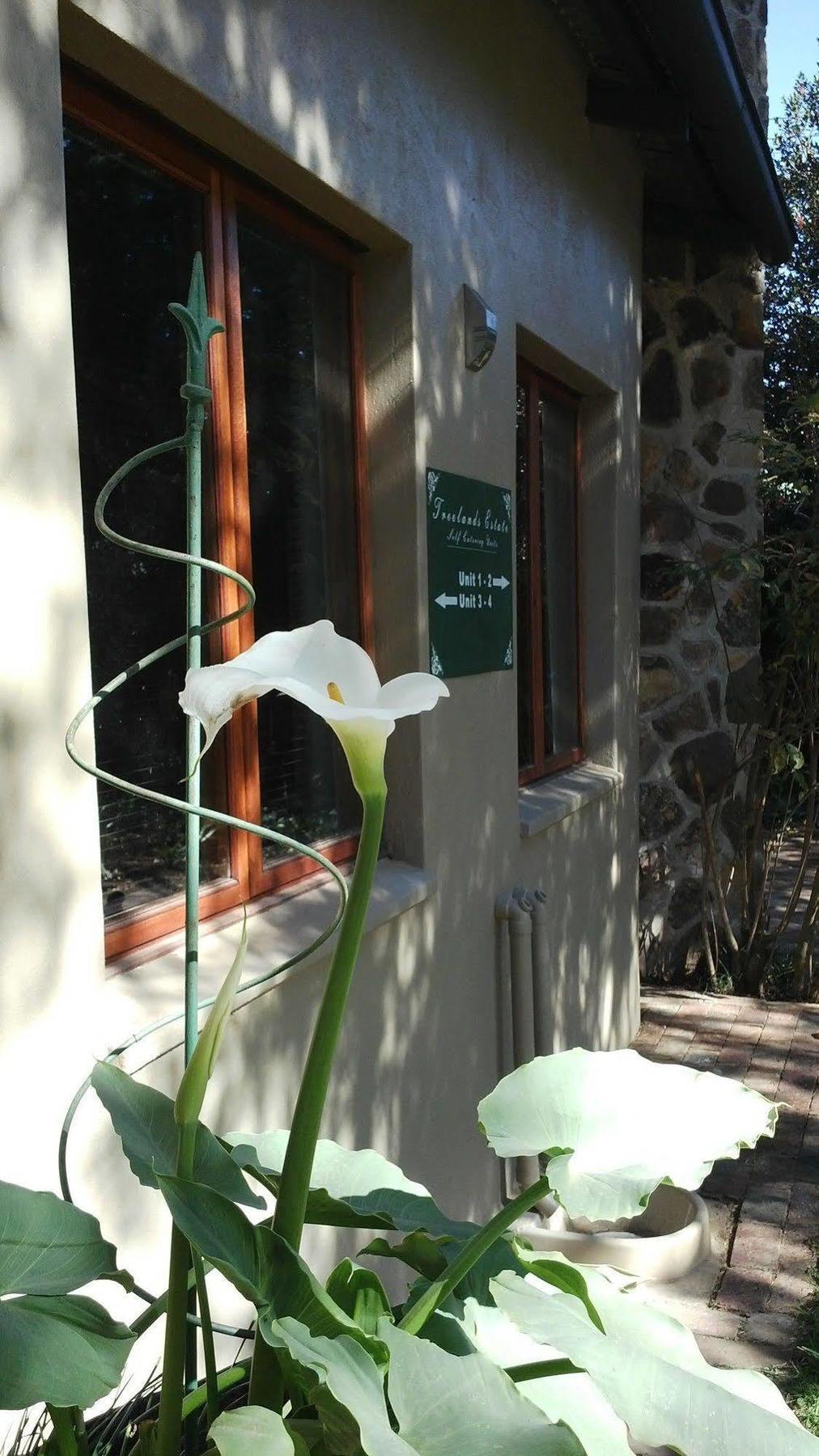 Treelands Estate Dullstroom Dış mekan fotoğraf